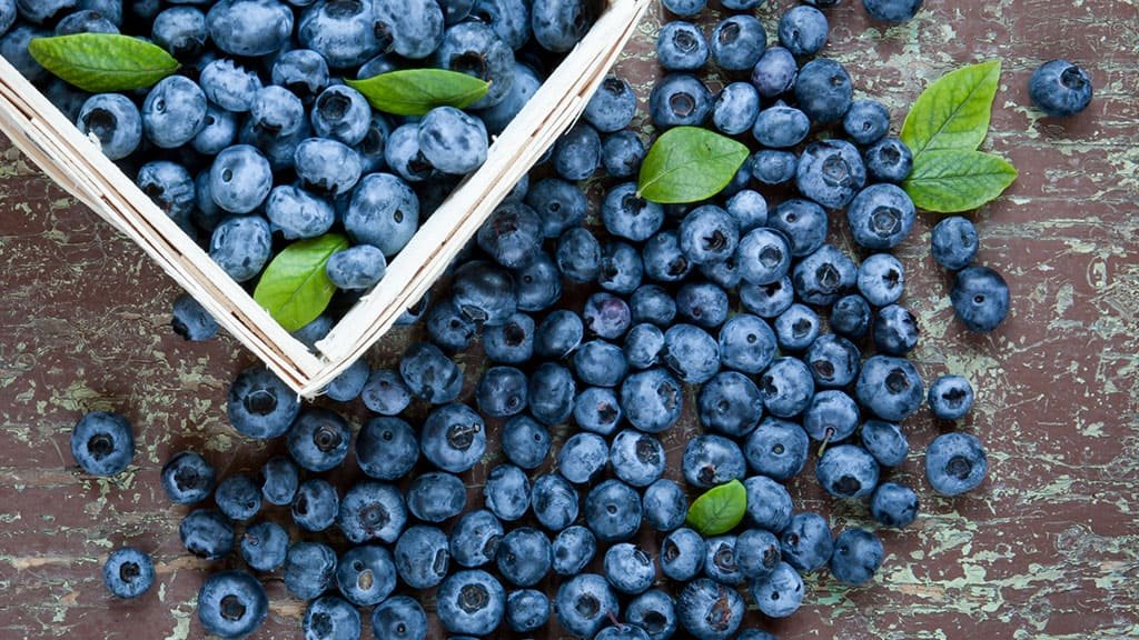 blueberries-in-basket.jpg